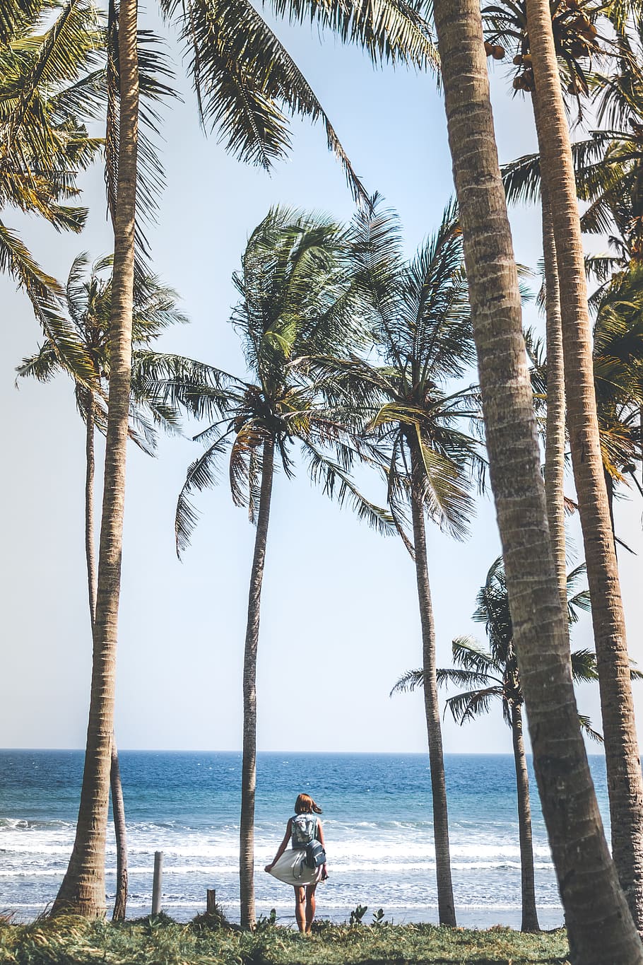 woman in gray dress near seashore under coconut trees, walking HD wallpaper