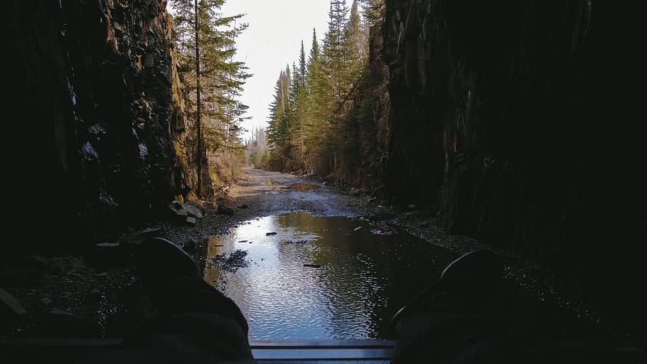 trees, forest, water, shoes, wilderness, tunnel, lost, road HD wallpaper