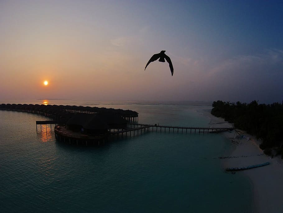 sunset, water, sky, beauty in nature, scenics - nature, sea HD wallpaper