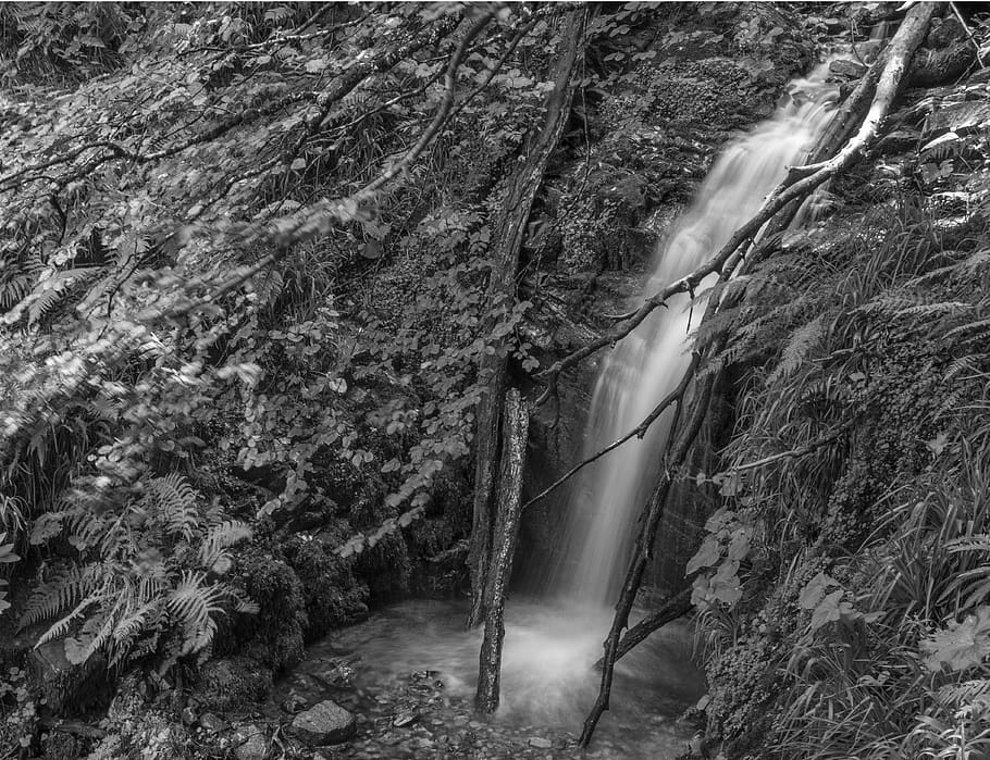 spain, waterfall xiblu, tree, plant, forest, no people, land HD wallpaper