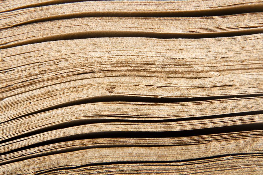 wood, tree, cracked, waves, background, texture, close-up, wood - material HD wallpaper