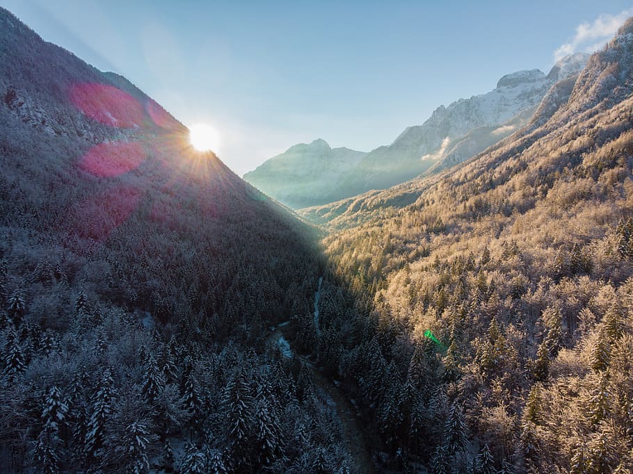 mountain covered with tree during daytime, nature, outdoors, slope HD wallpaper