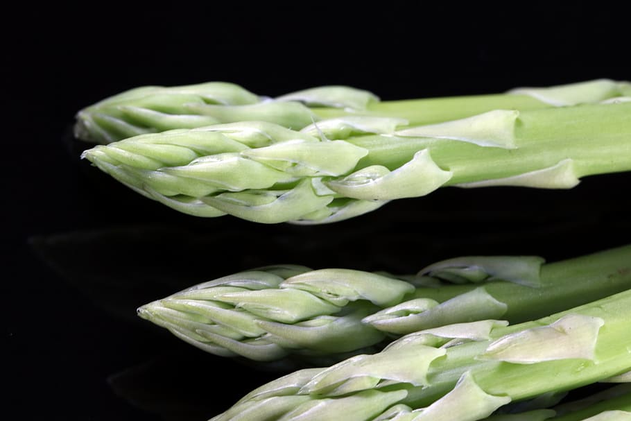 asparagus, vegetables, nature, leading, vitamin, production HD wallpaper
