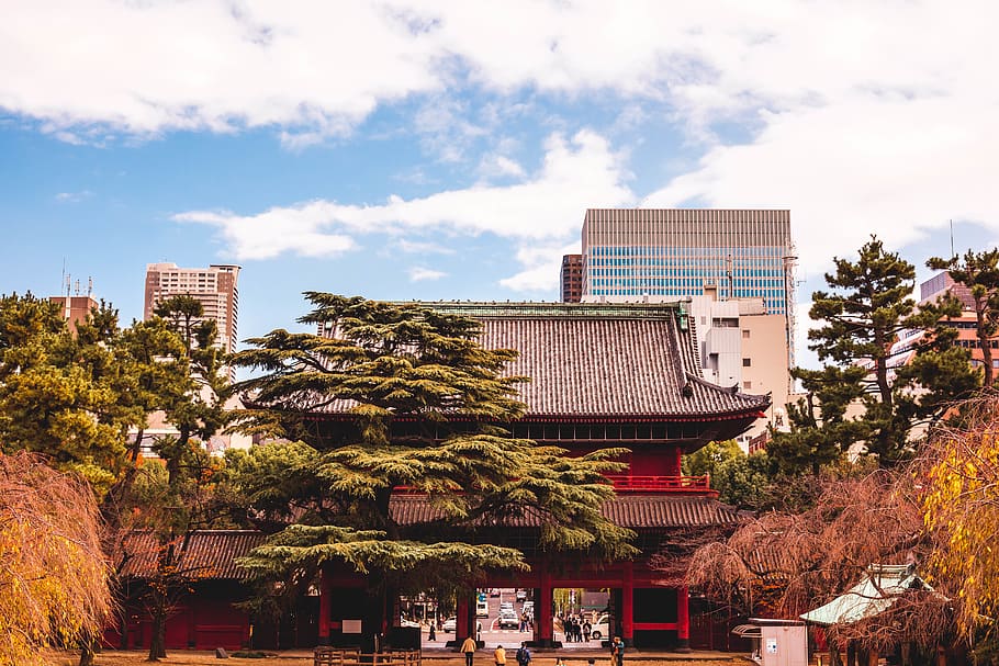architecture, temple, pagoda, building, shrine, worship, human HD wallpaper