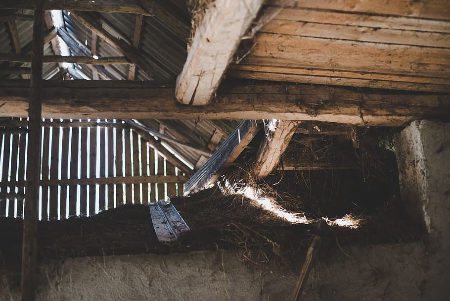 romania, dobric, wood - material, no people, indoors, nature HD wallpaper