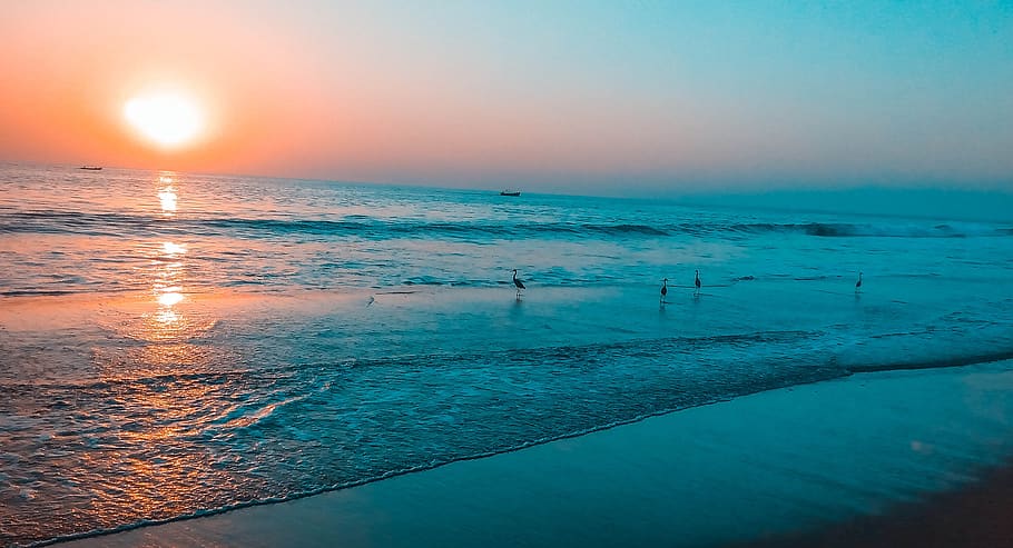 beach, sunset, water, sea, twilight, summer, sky, nature, coast HD wallpaper