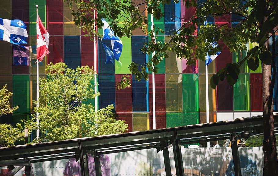 home decor, flag, symbol, tree, palais des congrès de montréal HD wallpaper