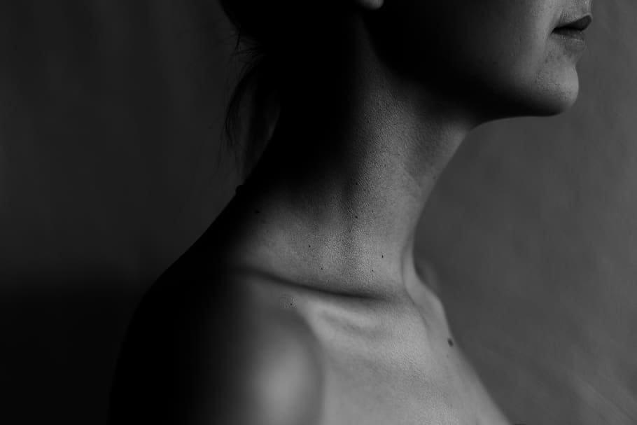 Collar Pictures | Download Free Images on Unsplash