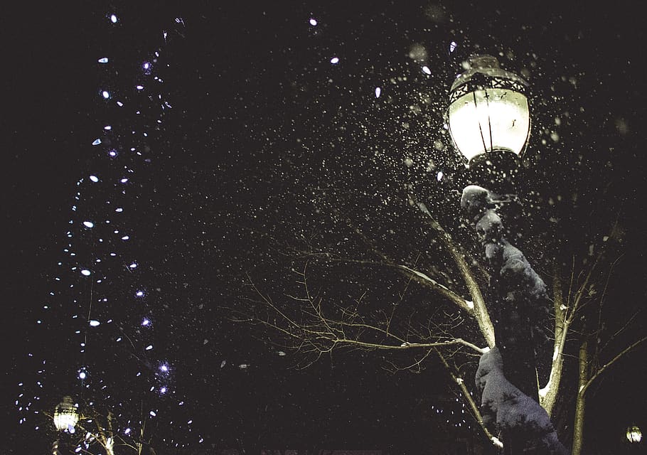 canada, goderich, christmas lights, snow, night, tree, lamp HD wallpaper