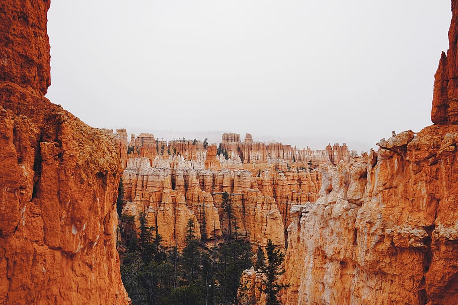 trees surrounded by rock formation, rock - object, geology, solid HD wallpaper