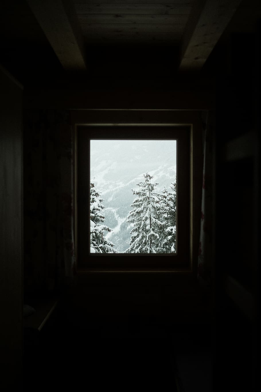 pine trees outside window, indoors, glass - material, cold temperature HD wallpaper