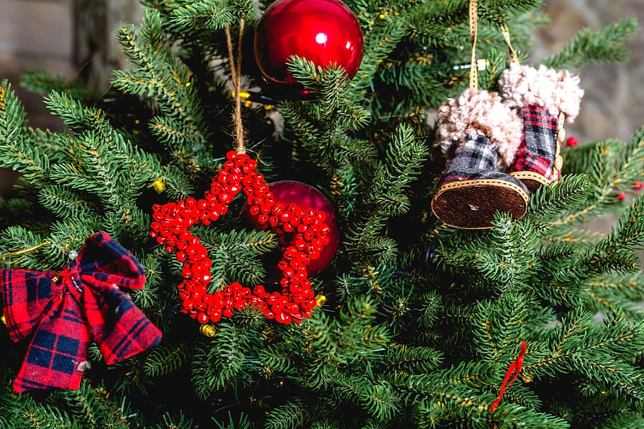 assorted christmas tree hanging decorations, plant, ornament HD wallpaper