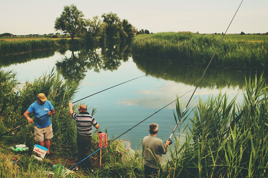 three men fishing during day, plant, water, lake, fishing rod HD wallpaper