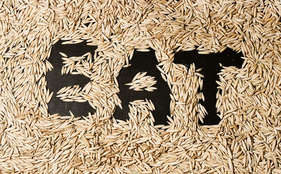 background, brown, cereal, flour, food, grain, ingredient, meal HD wallpaper