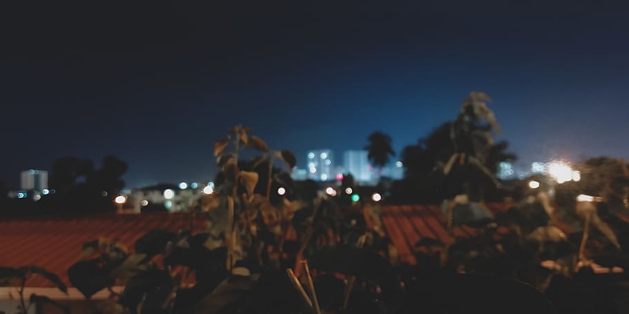 blur, view, panama, wallpaper, town, plants, night, sky, lights HD wallpaper