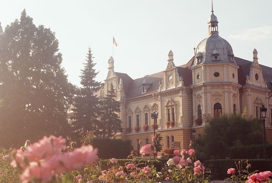 roses, bracov, architecture, renessance, trees, built structure HD wallpaper