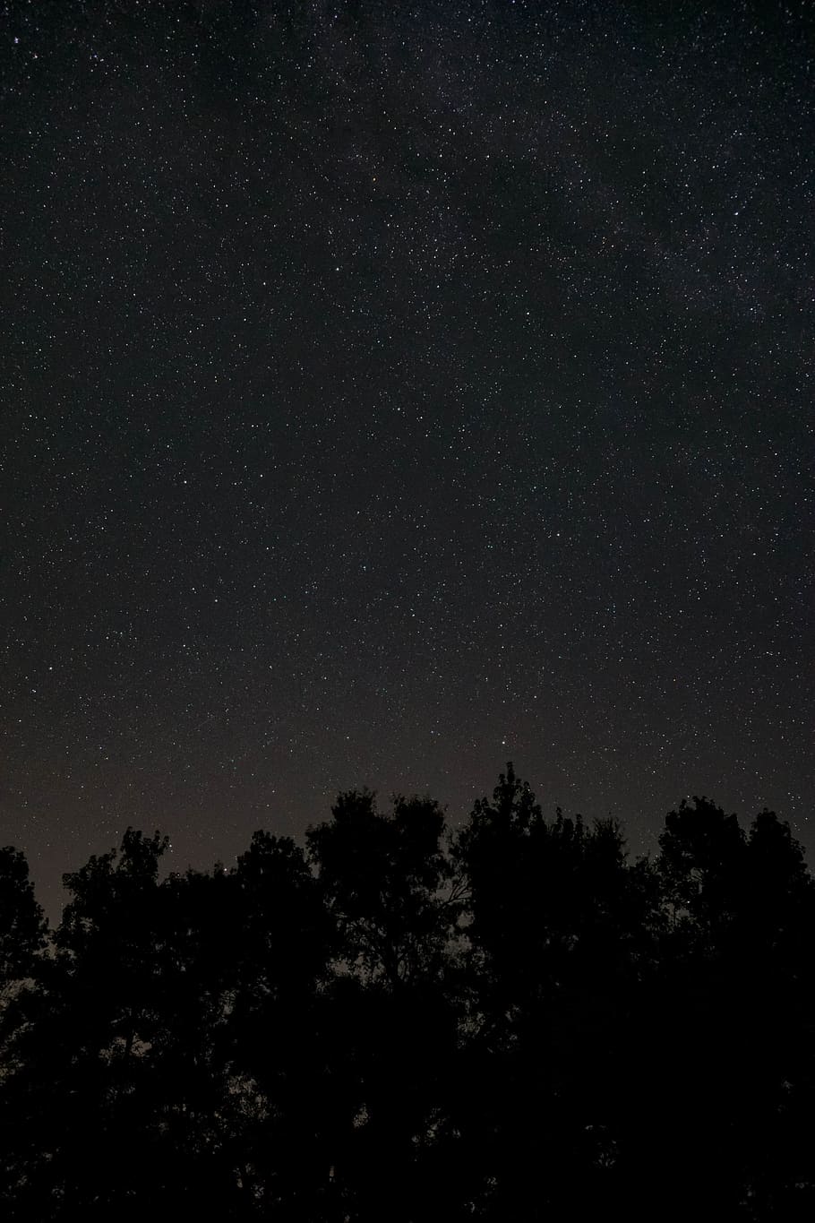 night, dark, trees, shadow, galaxy, space, stars, sky, forest HD wallpaper
