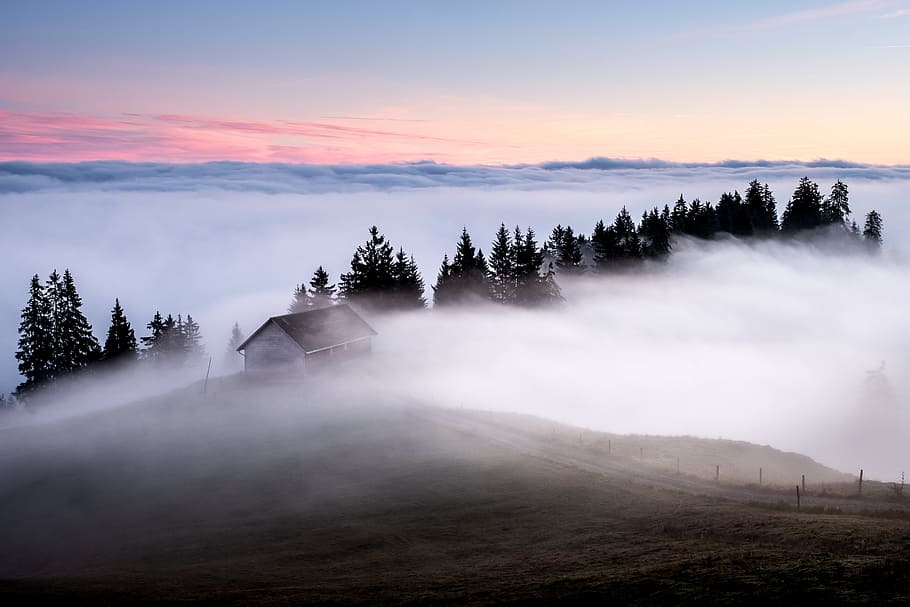 white and brown wooden house surrounded by fogs, mist, morning