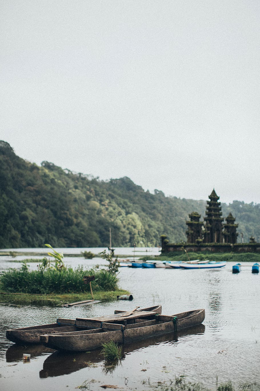 Paddle Boats on Body of Water, daylight, grass, landscape, nature HD wallpaper