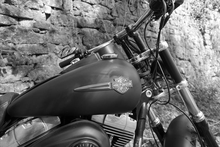motorcycle, harley davidson, fatbob, forest, stone wall, mode of transportation HD wallpaper