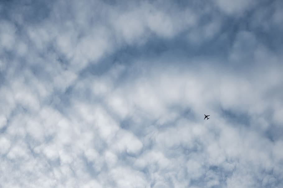 airplane flying under cloudy sky, bird, animal, adventure, leisure activities HD wallpaper
