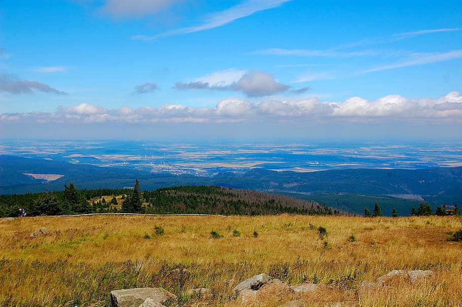 boulder, resin, landscape, nature, forest, highlands, nostalgia HD wallpaper