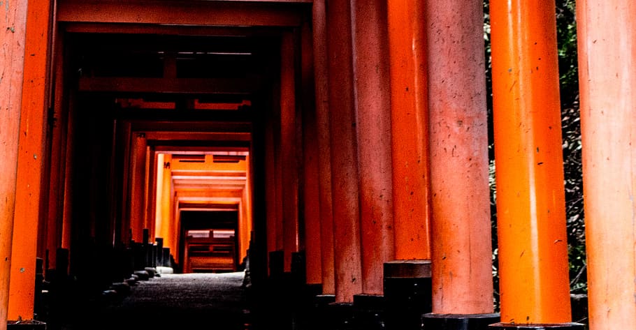 building, architecture, corridor, shrine, kyoto, fushimiinari shrine HD wallpaper