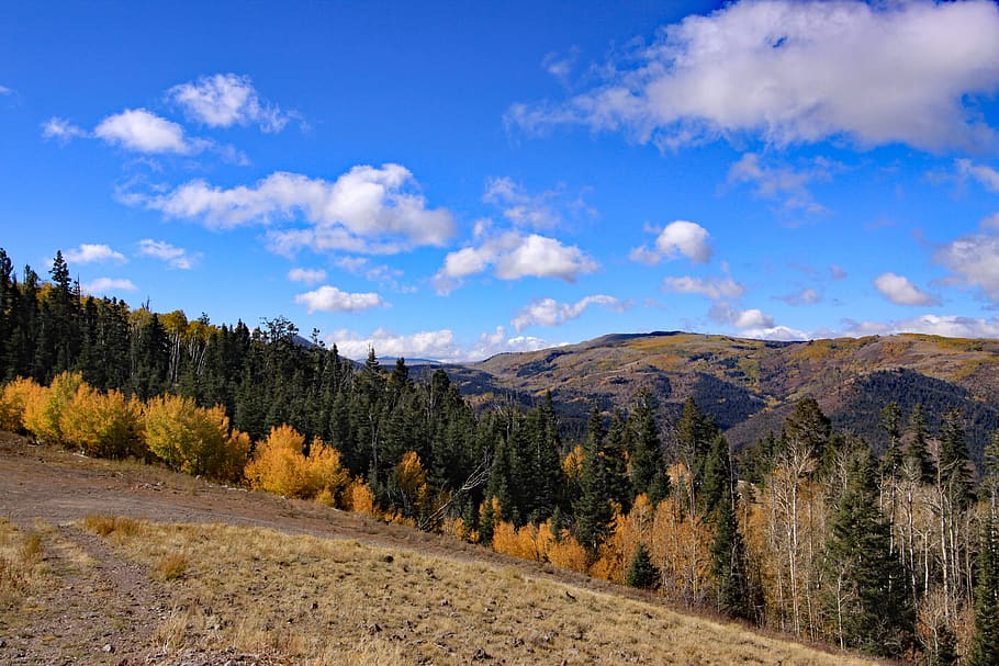 mountain range, autumn, forest, nature, scenics - nature, beauty in nature HD wallpaper