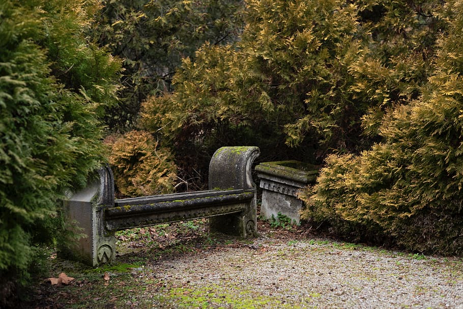 bench, park, nature, alone, leaves, outdoors, dream, tree, seat HD wallpaper
