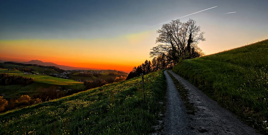 sunset, tree, spring, flowers, mountai, alps, curve, road, sky HD wallpaper