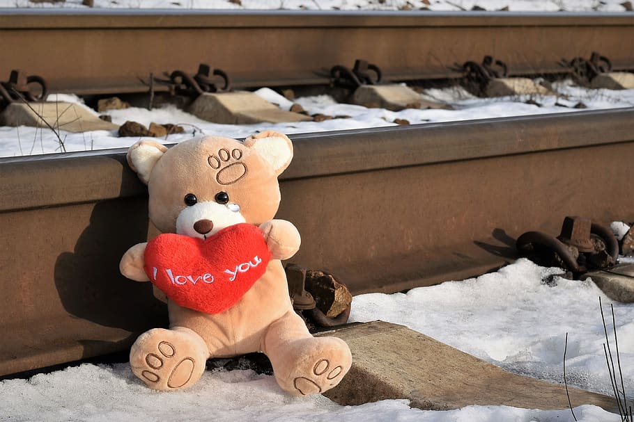 teddy bear crying, stop youth suicide, snow, winter, railway, HD wallpaper