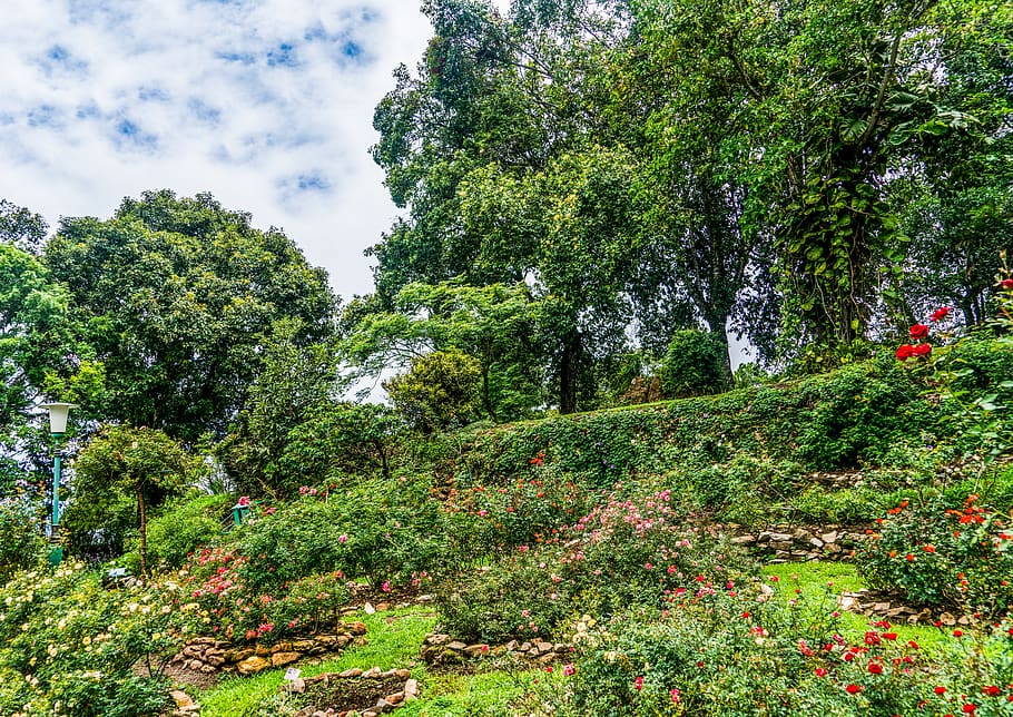 garden, beautiful landscape, hill side, mountain, nature, flowers HD wallpaper