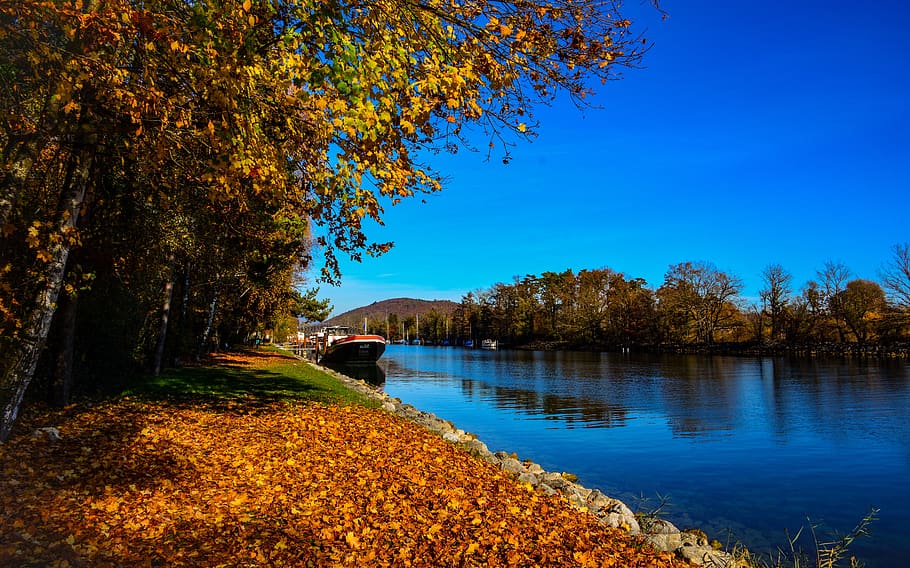 channel, river, fall, boats, neuchâtel, the thielle, tree HD wallpaper
