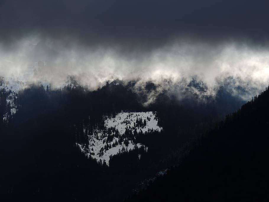 mountain, landscape, peak, summit, trees, pines, view, aesthetic HD wallpaper