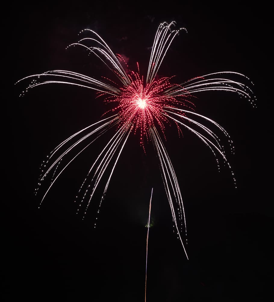 red and white firework display, motion, celebration, arts culture and entertainment HD wallpaper