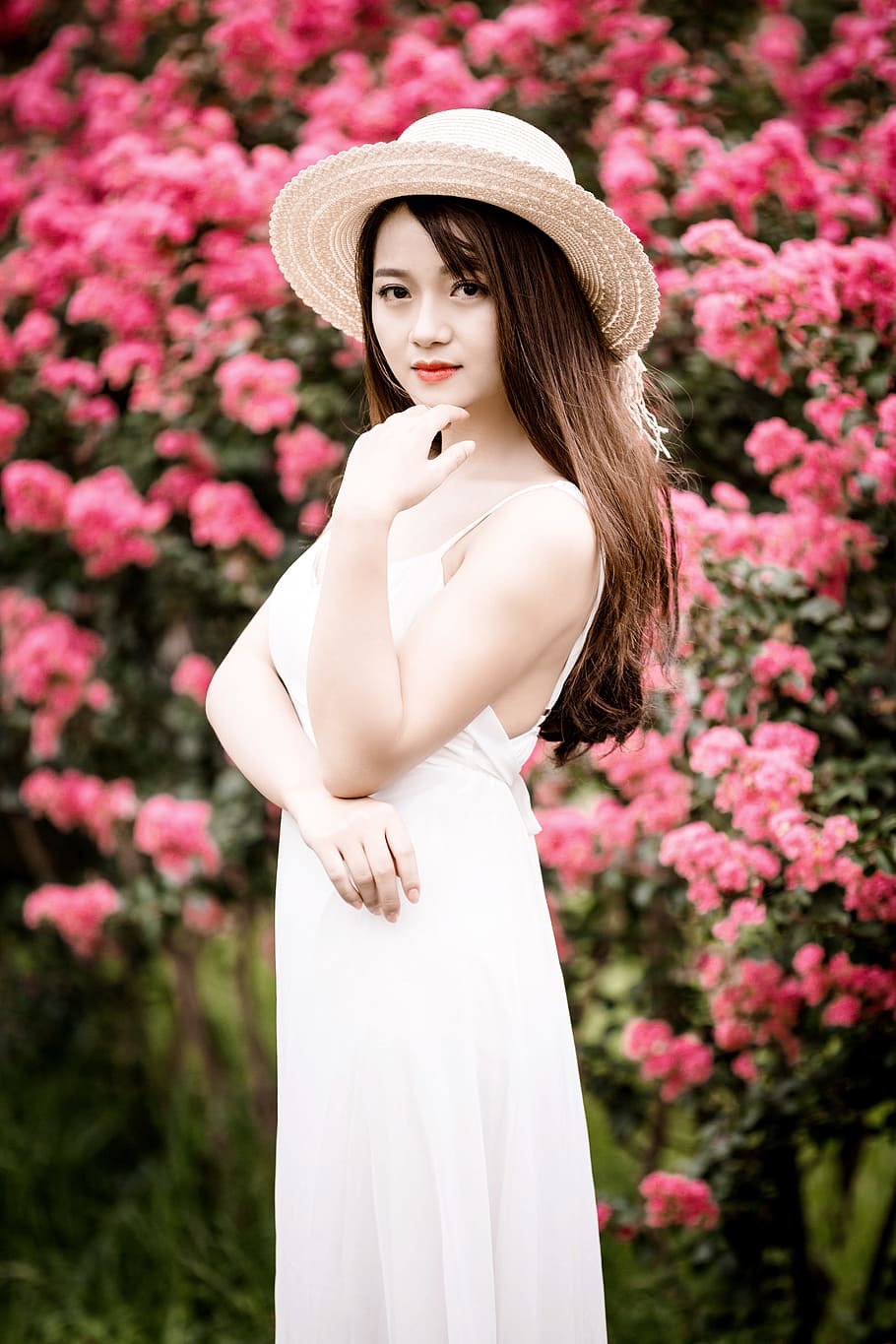 woman wearing dress standing beside pink flowers, female, asian woma, HD wallpaper