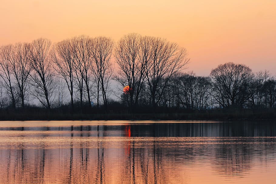 sunset, lake, reflection, water, water surface, trees, waterfront trees HD wallpaper