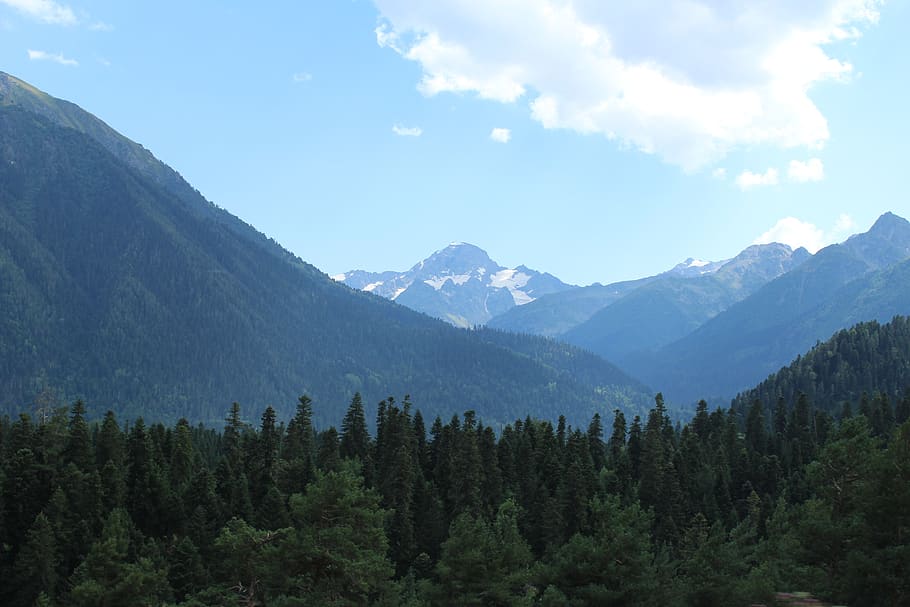 mountains, pine, landscape, nature, forests, clouds, tourism HD wallpaper