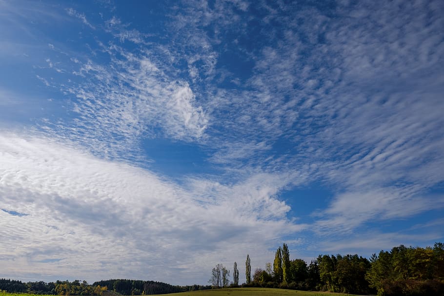sky, clouds, landscape, nature, forest, trees, cloud - sky HD wallpaper