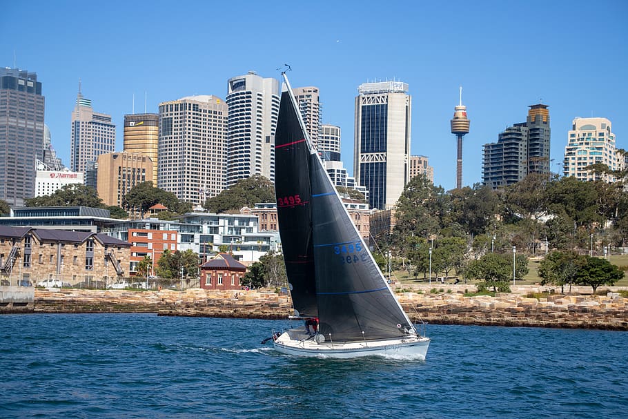 sail, boat, sydney, harbour, sea, water, sailing, ship, vessel HD wallpaper