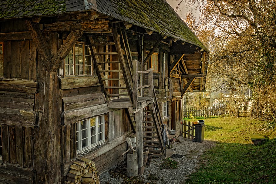 Brown Wooden House Near on Tree, abandoned, architecture, barn HD wallpaper