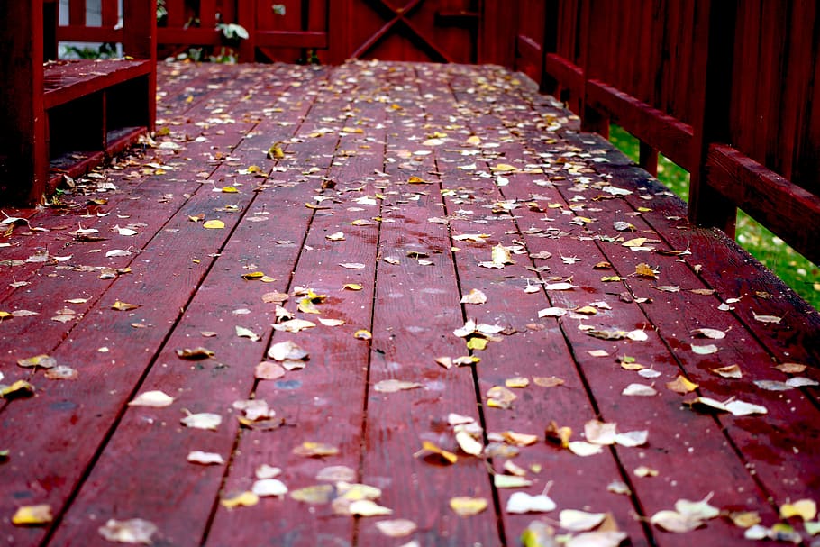 fall, deck, wood, leaves, platform, season, outdoor, leaf, plant part HD wallpaper