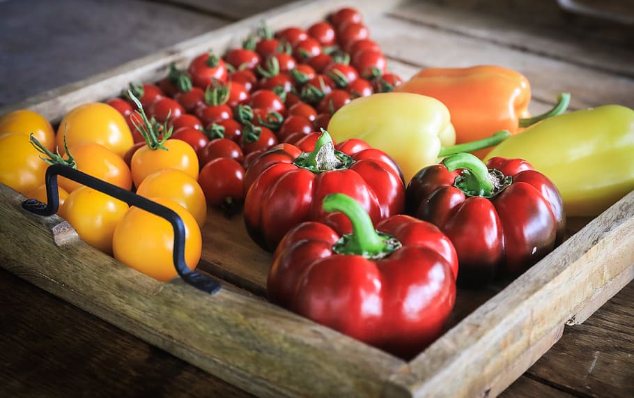 vegetables, pepper, tomatoes, garden, food, healthy, kitchen HD wallpaper