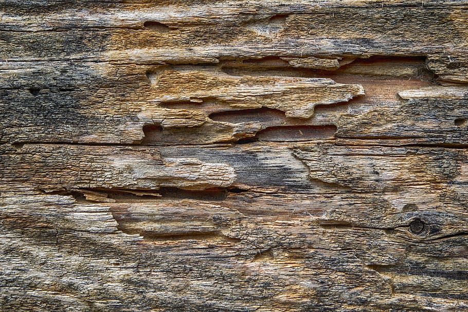 wood, texture, old, rustic, textured, full frame, wood - material HD wallpaper