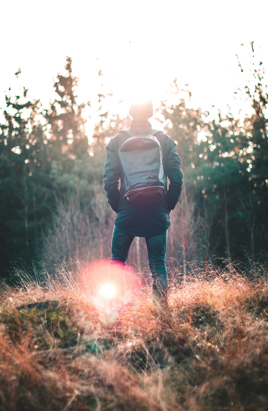Man Standing Infront of Forest, adult, backpack, bright, cold HD wallpaper