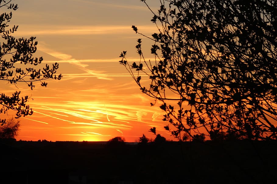 sun, sunset, eve, evening, nature, sky, silhouette, beauty in nature HD wallpaper