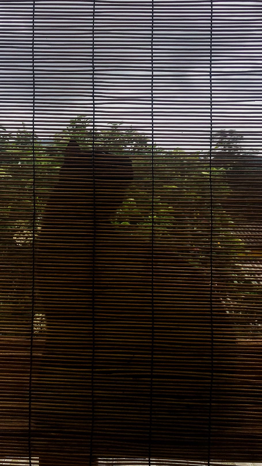 home decor, window shade, curtain, colombia, unnamed road, la calera HD wallpaper