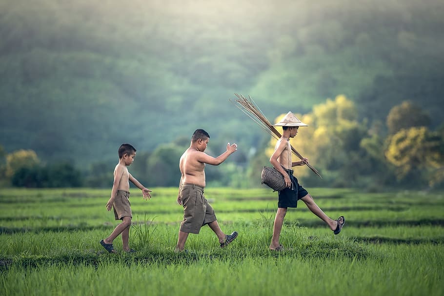 kid, child, human, activity, group, friend, men, full length HD wallpaper