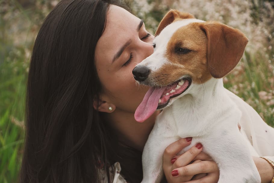 Close-Up Photo of Woman Kissing A Dog, adorable, animal, animal photography, HD wallpaper