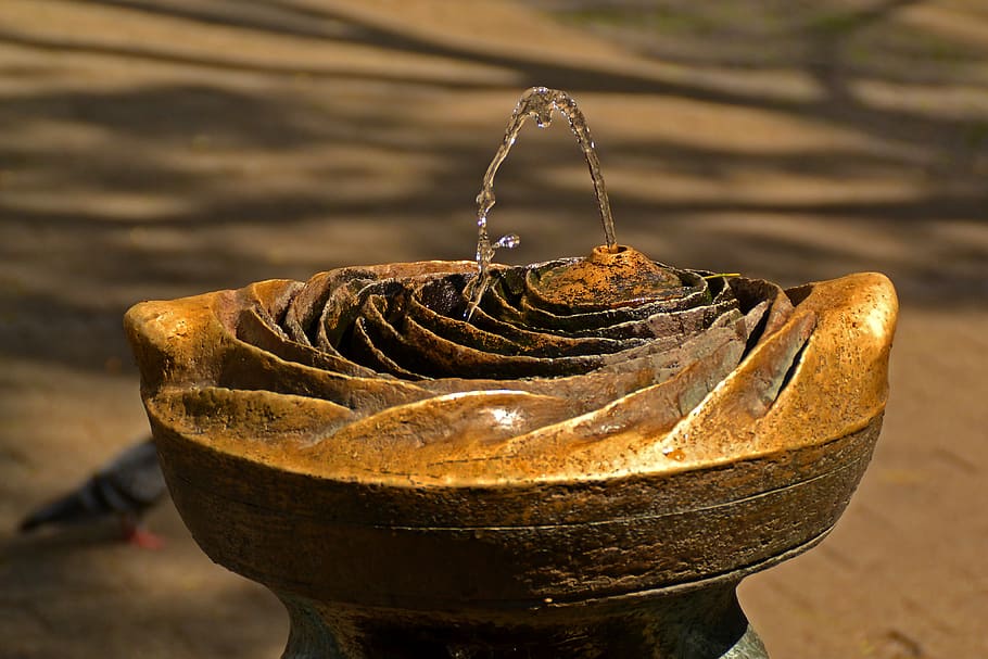 Rose Water Fountain, clear, drink, flow, water basin, close-up HD wallpaper
